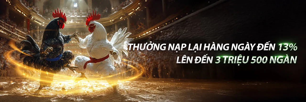 Đá Gà Thomo CP4 Hôm Nay Trực Tiếp
